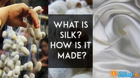 Forming silk yarn. 10 Silk thread, also called yarn, is formed by throwing, or twisting, the reeled silk. First the skeins of raw silk are categorized by color, size, and quantity. Next they are soaked in warm water mixed with oil or soap to soften the sericin. The silk is then dried. 